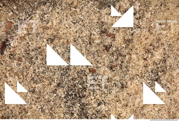 Ground Various