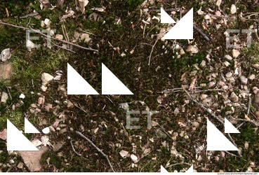 Ground Various