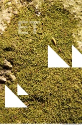 Ground Various