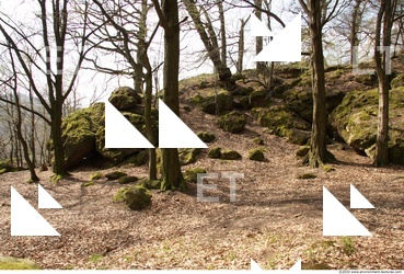 Background Nature