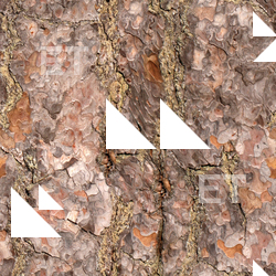 Seamless Bark