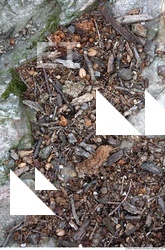 Ground Various