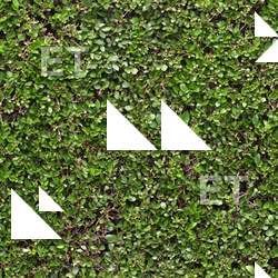 Seamless Ground