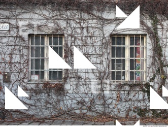 Windows Cellar