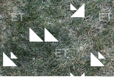 Frozen Ground