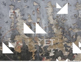 Walls Plaster
