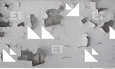 Walls Plaster