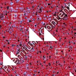 Seamless Ground 0015