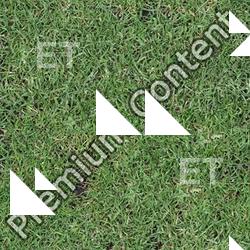 Seamless Grass 0001