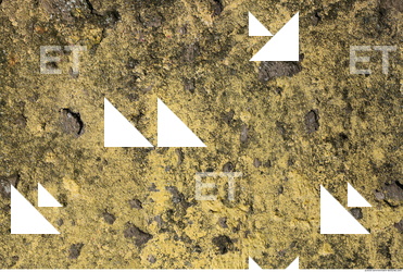 Photo Texture of Concrete