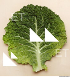 Photo Texture of Food