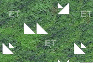 Photo Texture of Walls