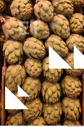 Photo Textures of Food