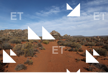 Photo Textures of Background Nature Africa