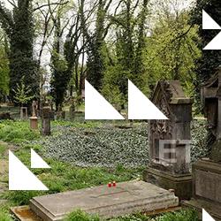 Photo Textures of Background Cemetery