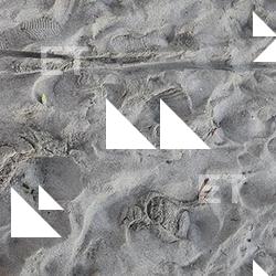 Photo Textures of Sand