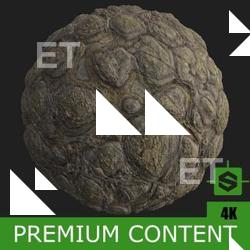 PBR Texture of Crocodile Skin