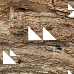 Photo Textures of Wood Mixed