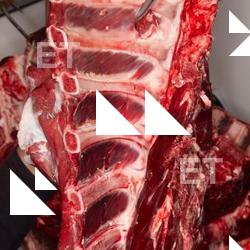 Photo Textures of RAW Ribs Beef Meat