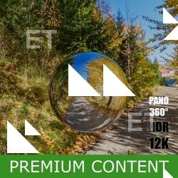 HDR Panorama 360° of Background Forest Road