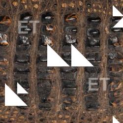 Photo Textures of Crocodil Skin