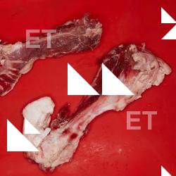 Photo Textures of RAW Bones