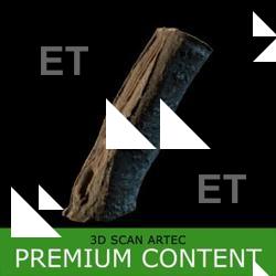  3D Scan of Tree Wood #8
