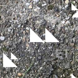 Photo Textures of Concrete