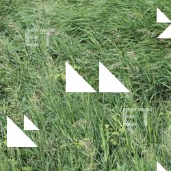 Photo Textures of Nature