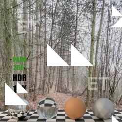 HDR Panorama 360° of Background Forest