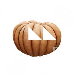 Pumpkin Clean 3D Scan #5