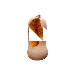 Pumpkin Crashed Clean 3D Scan #13