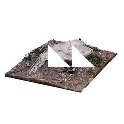 Stump Tree RAW 3D Scan #4