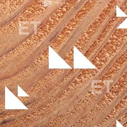 Photo Textures of Wood End