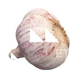 Gerlic 3D Scan Retopo