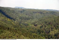 Photo Textures of Background Forest