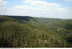 Photo Textures of Background Forest