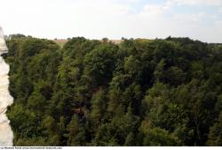 Photo Textures of Background Forest