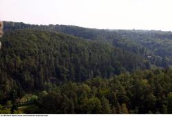 Photo Textures of Background Forest