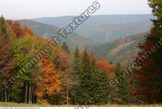 background nature autumn