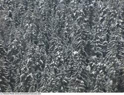 Photo Textures of Background Nature Winter