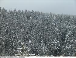 Photo Textures of Background Nature Winter