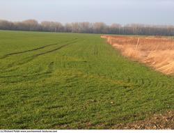 Photo Textures of Background Nature Spring