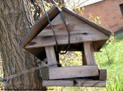 Photo Texture of City Object