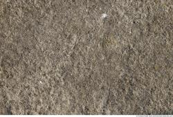 Photo Textures of Grass Dead