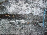 Photo Texture of Concrete Ground Damaged