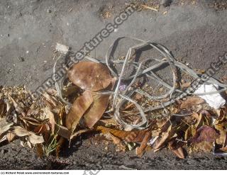 Photo Textures of Grounds