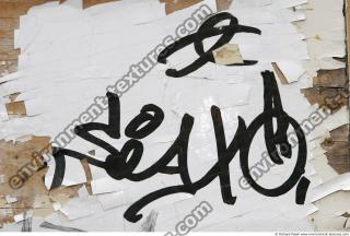 Photo Textures of Wood 