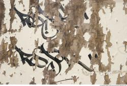 Photo Textures of Wood 