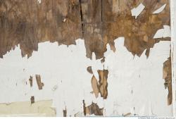 Photo Textures of Wood 